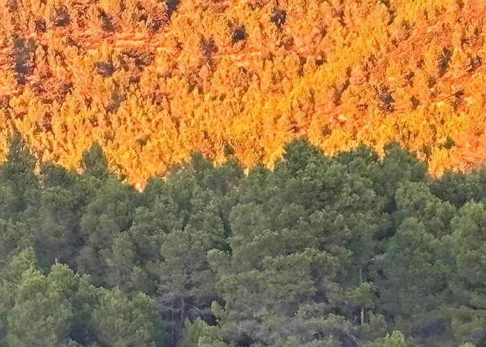 Casa vacanze Punta Rj Pavies